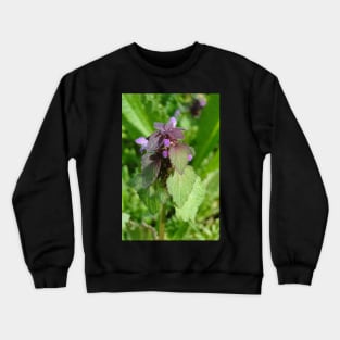 Dead Nettle Crewneck Sweatshirt